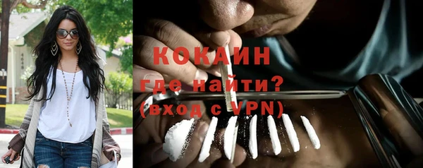 твердый Богородск