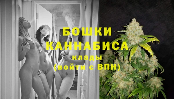 2c-b Богданович