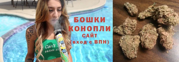 твердый Богородск