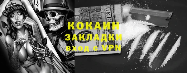 твердый Богородск